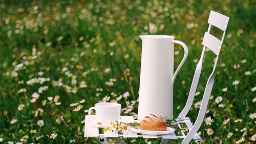 Among the chamomile lawn stands a white chair. on it there is a composition of a white jug, 