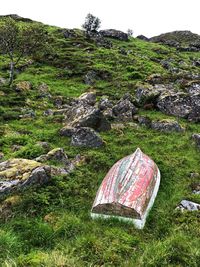 Scenic view of rocks on field