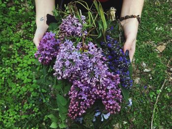 Purple flowers on grass