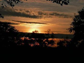 Silhouette trees against sky during sunset