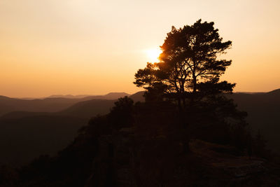 Silhouette tree against mountain during sunset