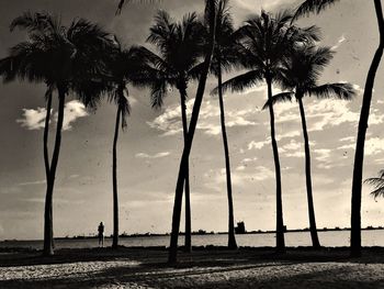 Silhouette palm trees on beach against sky