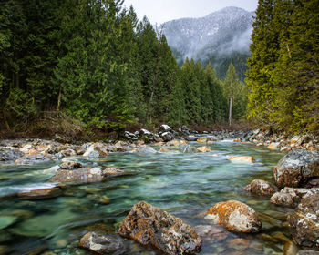 A winter mountain stream