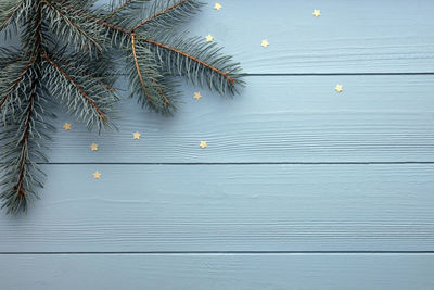 High angle view of tree by wall