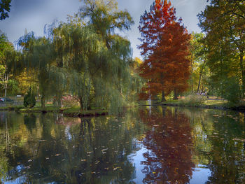 Scenic view of lake in forest during autumn