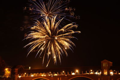 Low angle view of firework display at night