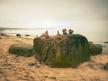 People sitting on rock by sea against sky