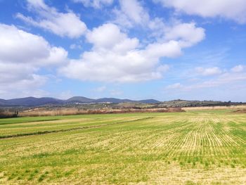 Scenic view of agricultural field against sky