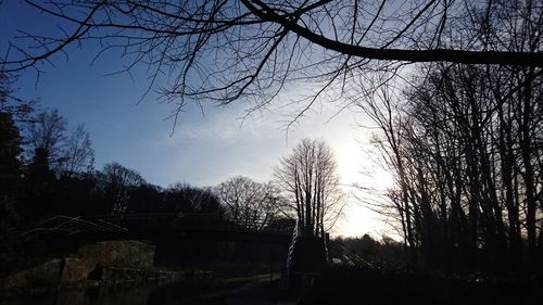 Low angle view of silhouette trees and building against sky