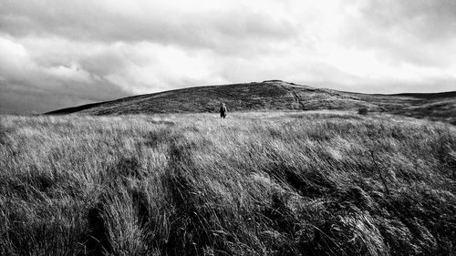 Scenic view of land against sky