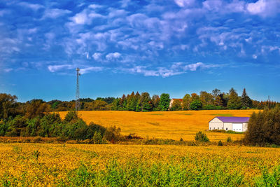 Scenic view of field against sky