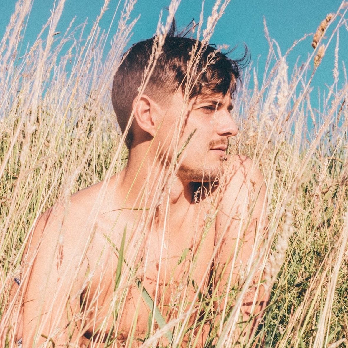 beach, marram grass, shirtless, young adult, adults only, summer, grass, one person, outdoors, vacations, one man only, day, timothy grass, adult, nature, people, sea, headshot, sand dune, only men, human body part, beautiful woman, one young man only, sky, young women, close-up, friendship