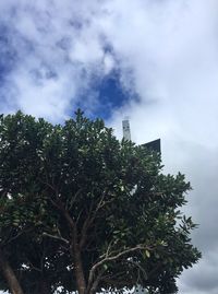 Low angle view of tree against sky