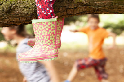 Low section of people on tree trunk