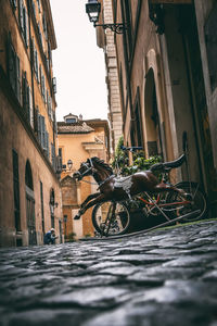 Bicycles parked on street amidst buildings in city