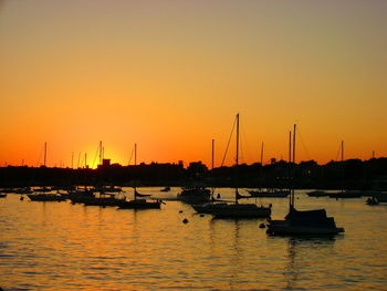 Sailboats in marina at sunset