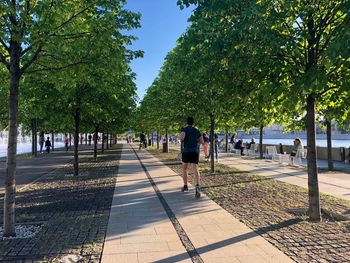 People walking on footpath in park