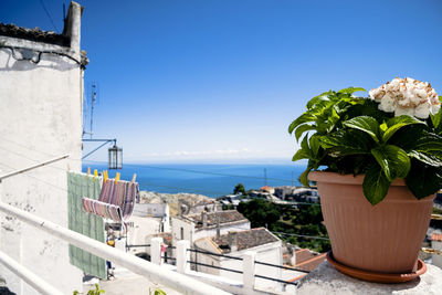 Scenic view of sea by buildings against blue sky