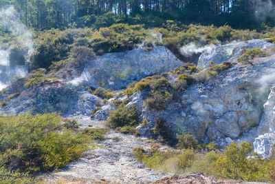 Stream flowing through rocks in forest