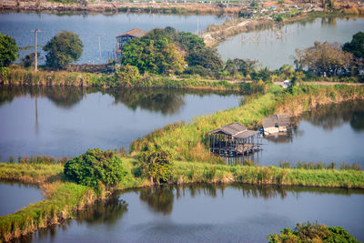 Scenic view of lake by trees and plants