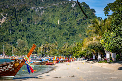 Boats moored on sea against trees