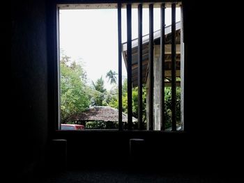 Plants seen through window