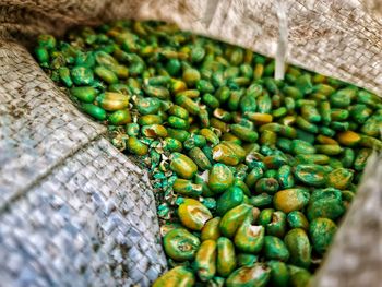 High angle view of vegetables