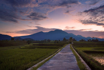 Beautiful scenery in the morning the beautiful nature of the village in indonesia