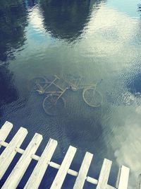 High angle view of wood in lake