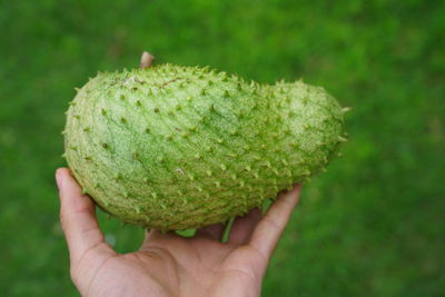 Close-up of hand holding fruit