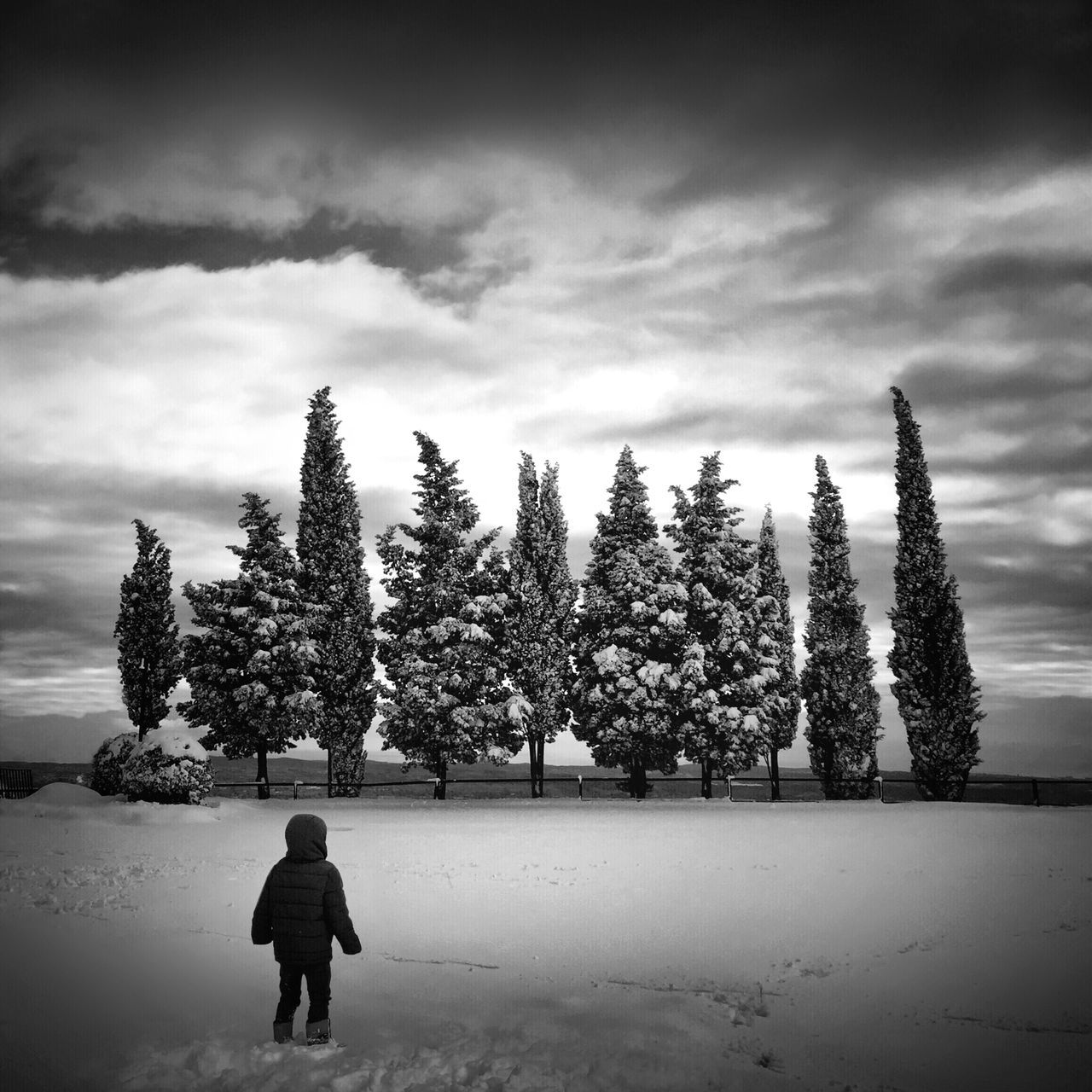 sky, tree, lifestyles, growth, cloud - sky, nature, beauty in nature, leisure activity, men, tranquility, standing, plant, rear view, person, tranquil scene, water, day, flower