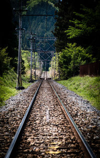 Railroad track amidst trees