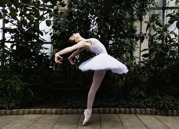 Ballet dancer dancing against palm trees