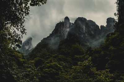 Scenic view of mountains in forest