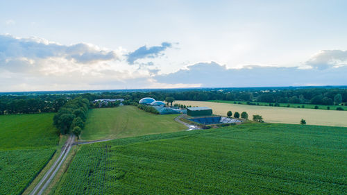 Scenic view of agricultural field against sky