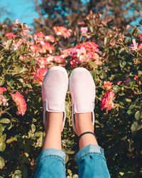 Low section of woman with feet up against flowering plants