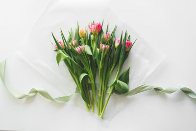 Bouquet of pink fresh tulips. beautiful card for mother's day