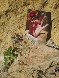 High angle view of hand on sand at beach