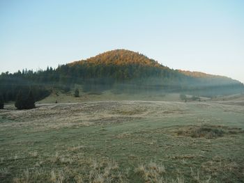 Scenic view of landscape against clear sky