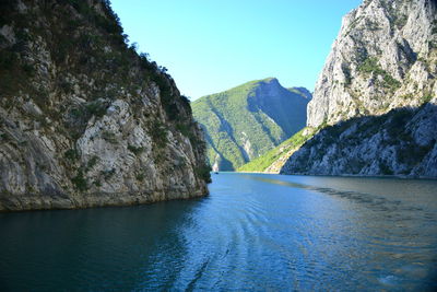 Lake koman is a reservoir on the drin river in northern albania, surrounded by dense forested hills,