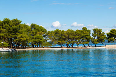 A seafront on the brijuni islands, croatia