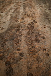 High angle view of footprints on wet sand