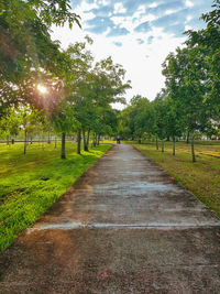 Empty road along trees in park