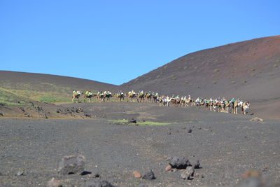 Group of people on desert against clear sky