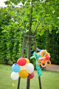 Close-up of multi colored balloons on tree in park