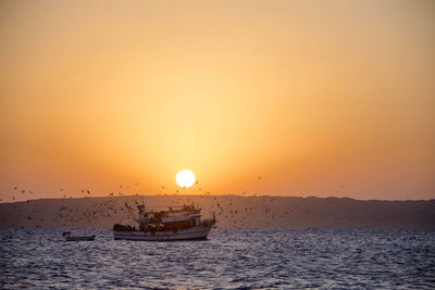 Ship at sunset surrounded with seagulls 