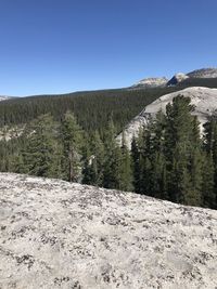 Scenic view of landscape against clear blue sky