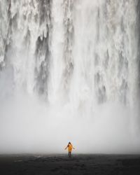 Rear view of man standing on land