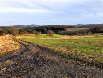 Scenic view of agricultural field against sky