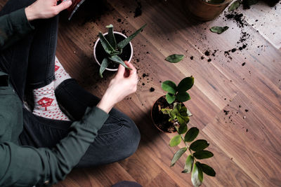 High angle view of hand holding potted plant on wooden table